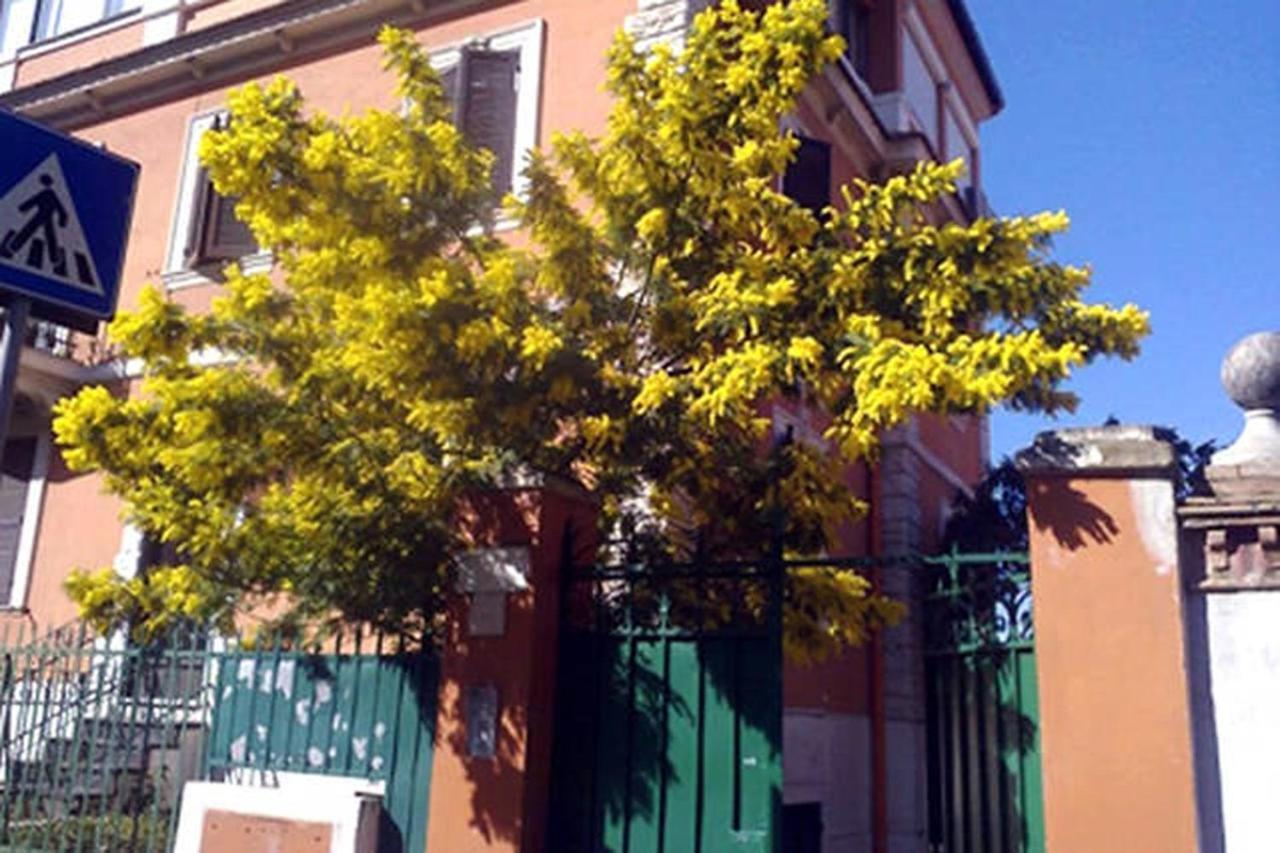 Garden Flat By Vatican Walls Roma Exterior foto